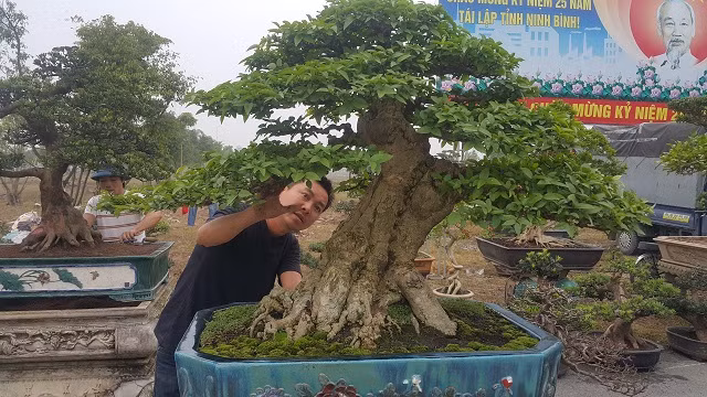 “Đây là một cây cảnh nghệ thuật vì nó sở hữu 4 yếu tố là: cổ, kì, mỹ, văn. Để có được một tác phẩm nghệ thuật này tôi đã mất rất nhiều tâm huyết và công sức mới sáng tạo ra được" anh Toản tâm sự.