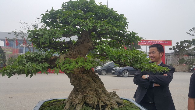 Do có dáng, thế đẹp nên hiện cây kiểng của anh Toản đã có nhiều đại gia và dân chơi cây khắp các tỉnh đến thăm quan, hỏi mua. "Thời gian qua đã có nhiều khách đến thăm và trả hơn 200 triệu đồng, nhưng vì chưa được giá nên tôi chưa thể xuất vườn được" - anh Toản chia sẻ.