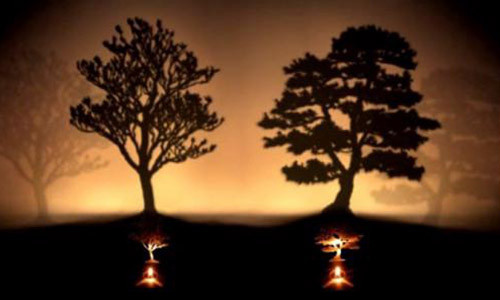 Nguyên nhân thất bại của nhiều người: Hai cái cây bạn chặt cây nào? Ảnh nguồn: Internet.