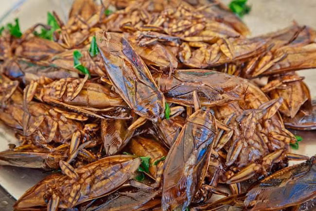 2. Côn trùng chiên Gián, châu chấu, dế...được bắt trên cánh đồng tự nhiên để đem lại hương vị tuyệt vời nhất, chúng được đem chiên giòn, sau đó thêm các gia vị như bột ớt, muối để hương vị được thơm ngon hơn.