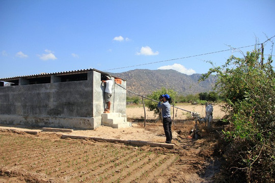 Bà con nông dân ở huyện Ninh Hải đã đầu tư hàng chục triệu đồng để khoan giếng, xây hồ chứa nước để cứu cây trồng.