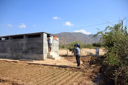 Bà con nông dân ở huyện Ninh Hải đã đầu tư hàng chục triệu đồng để khoan giếng, xây hồ chứa nước để cứu cây trồng.