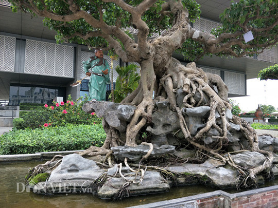 Nói về giá trị của cây kiểng trên, anh Đạt cho hay: Hiện, tại cây đã được chúng tôi đưa đi dự nhiều triển lãm ở khắp các tỉnh, thành với mục đích chủ yếu nhằm giao lưu, học hỏi và quảng bá vườn cây của gia đình."Đến thời điểm nay, chúng tôi chưa muốn bán cây nhưng nếu có bán thì cây cảnh độc đáo này của tôi cũng phải có giá trên dưới 2 tỷ đồng", anh Đạt chia sẻ.