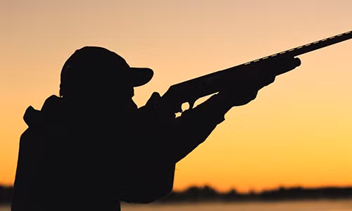 Ảnh minh họa. (Nguồn: Valley Heritage Radio)