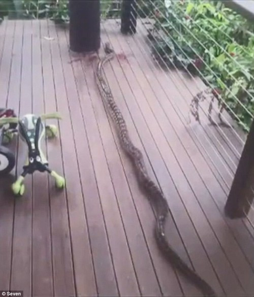 Nguoi me gianh lai con trai tu mieng tran khong lo dai 4,2 met