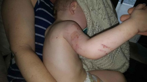 Nguoi me gianh lai con trai tu mieng tran khong lo dai 4,2 met-Hinh-2