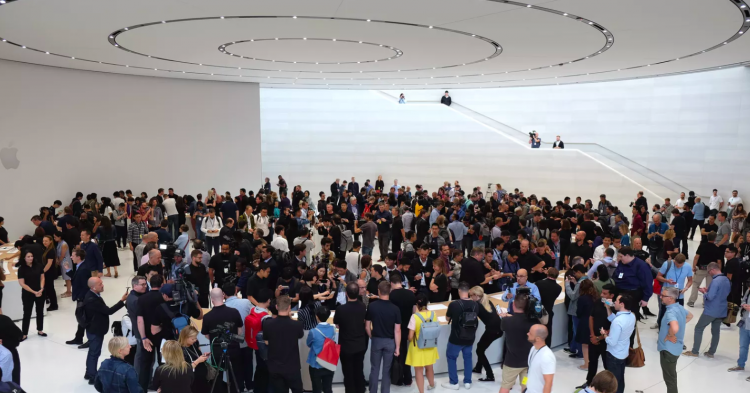 Phần trần sợi carbon của khán phòng được gia cố bởi khung kính. Foster + Partner cũng giấu các đường dây và đường ống khỏi tầm nhìn thông thường. Hai mươi điểm nối nhỏ bé ngăn cách mỗi tấm kính chính là nơi chứa các đường ống nước được thiết kế đặc biệt cho hệ thống chữa cháy được giấu bên dưới phần sợi carbon. Các điểm nối còn lại là nơi bố trí dây kết nối cho các mục đích như điện năng, dữ liệu hay âm thanh.