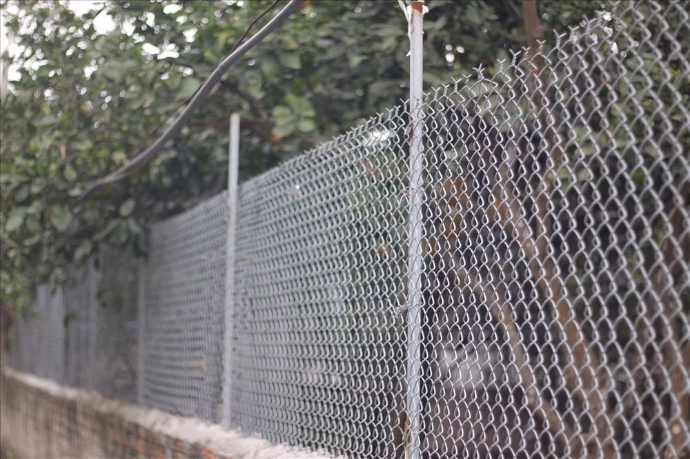 Vườn bưởi được rào chắn kĩ càng.