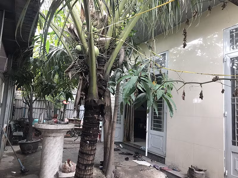 Chuyen ve can nha o TP.HCM co 9 nguoi chet bi an chua co loi giai-Hinh-2