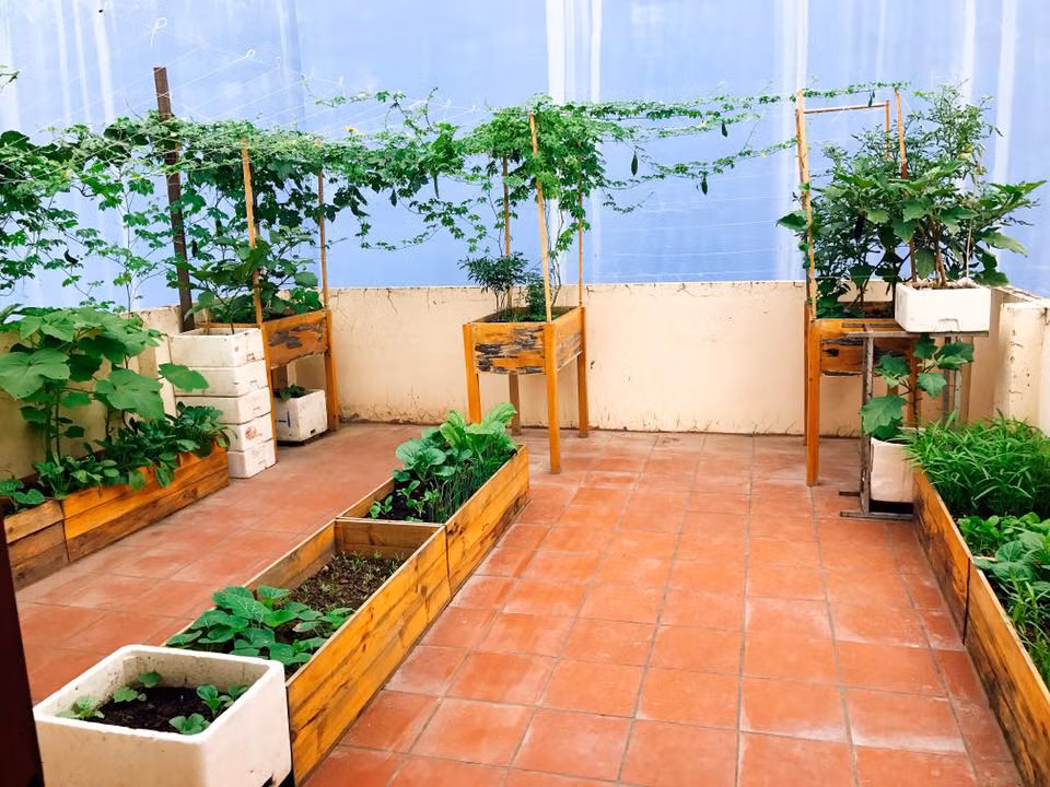 Khoảng sân thượng chỉ với 30m2 đã được người phụ nữ đảm đang Phạm Ngọc ( Gò Vấp, TP.HCM) dành nhiều thời gian và tâm huyết để thỏa mãn niềm đam mê làm vườn, trồng rau quả cho gia đình mình.