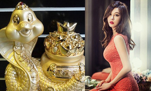 Về tình duyên, con giáp này có nhiều nhân duyên tốt nhưng vẫn chưa phù hợp. Đây là lúc họ nên tập trung vào sự nghiệp sẽ tốt hơn.