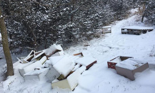 2 thiếu niên vào phá hoại toàn bộ trang trại nuôi ong.