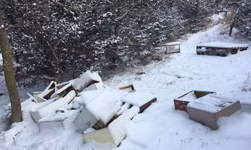 2 thiếu niên vào phá hoại toàn bộ trang trại nuôi ong.