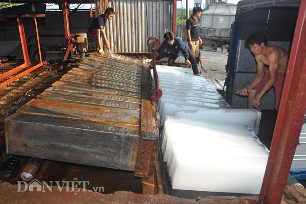 Công nhân làm việc liên tục và khẩn trương cung cấp đá cho thị trường tiêu thụ vải thiều Lục Ngạn.