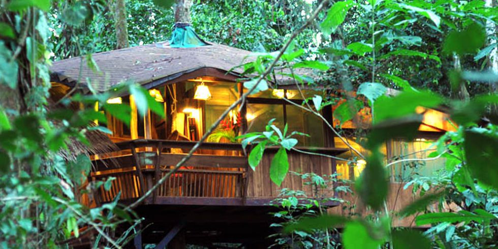 The Treehouse, Playa Punta Uva, Costa Rica Cách duy nhất để đến nhà cây này là băng qua cây cầu treo. Nằm ngay trong Khu bảo tồn Động vật Hoang dã Gandoca-Manzanillo của Costa Rica, du khách thường thấy động vật - đặc biệt là con lười thông qua cửa sổ của ngôi nhà cây này, ngoài ra bạn còn được thỏa thích ngắm nhìn thiên nhiên bao xung quanh bạn từ vị trí của ngôi nhà.