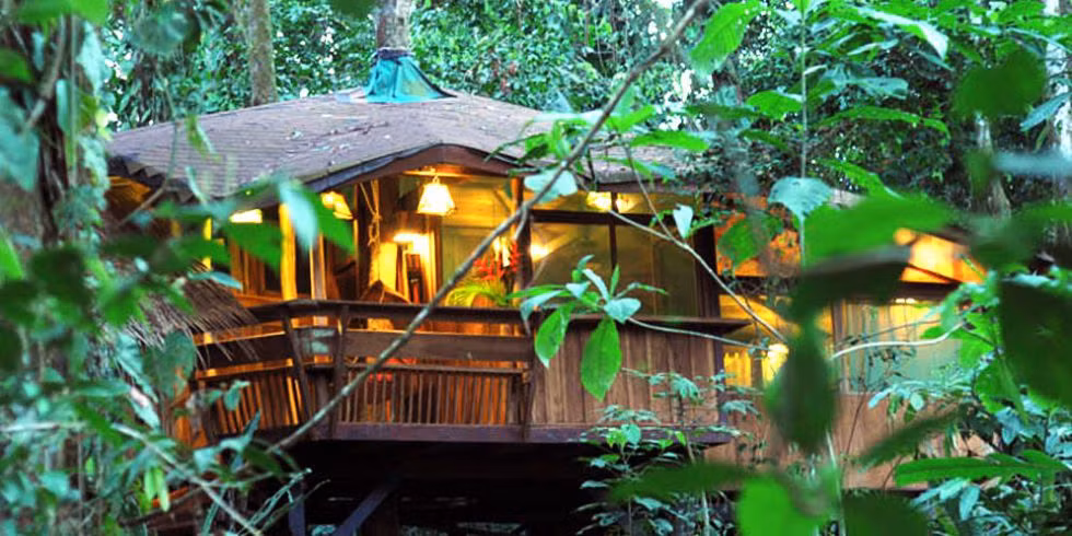 The Treehouse, Playa Punta Uva, Costa Rica Cách duy nhất để đến nhà cây này là băng qua cây cầu treo. Nằm ngay trong Khu bảo tồn Động vật Hoang dã Gandoca-Manzanillo của Costa Rica, du khách thường thấy động vật - đặc biệt là con lười thông qua cửa sổ của ngôi nhà cây này, ngoài ra bạn còn được thỏa thích ngắm nhìn thiên nhiên bao xung quanh bạn từ vị trí của ngôi nhà.