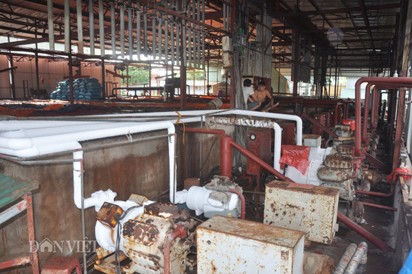 Thời điểm này, hệ thống máy làm lạnh được bà Ngân vận hành thường xuyên 24/24 để đủ đảm bảo lượng sản phẩm cung cấp cho thị trường. "Dù cở sở của tôi có công suất lớn nhưng khi vào chính vụ vải cũng khó có thể đáp ứng được đủ các đơn đặt hàng cho khách", bà Ngân nói.