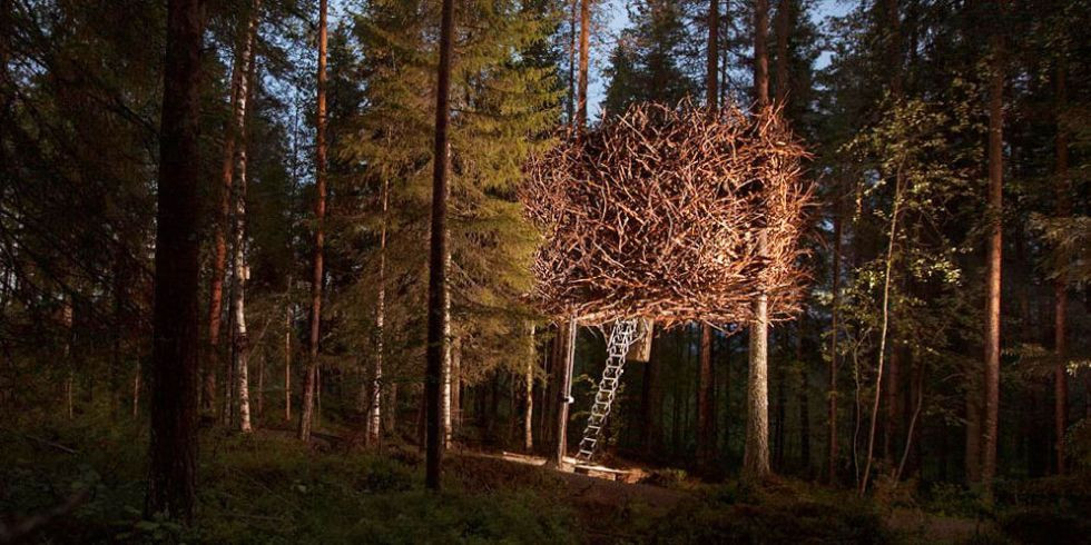 Tổ Chim tại The Tree Hotel, Harads, Thụy Điển Bạn có thể không tin vào mắt mình, nhưng ngôi nhà cây này hoàn toàn theo đúng nghĩa đen trông giống như tổ chim. Có một cầu thang để du khách truy cập vào nhà, nơi họ sẽ tìm thấy giường, phòng khách và nhà vệ sinh (vòi sen và phòng xông hơi khô nằm trong các tòa nhà riêng biệt gần đó). Tuy nhiên, nếu bạn là một người thích thoáng đãng, bạn có thể muốn ở một nơi khác: Phòng ngủ hình bán nguyệt này chỉ có hai cửa sổ rất nhỏ.