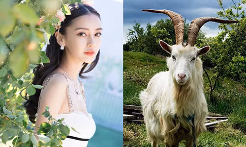 3 con giap mot buoc len tien dung dip Tet Duong lich 2019