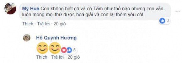 Hồ Quỳnh Hương trả lời bình luận khi fan nhắc tới Mỹ Tâm.