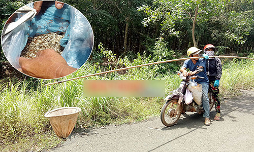 7 nam chong deo vo di san trung kien, kiem vai tram ngan/ngay