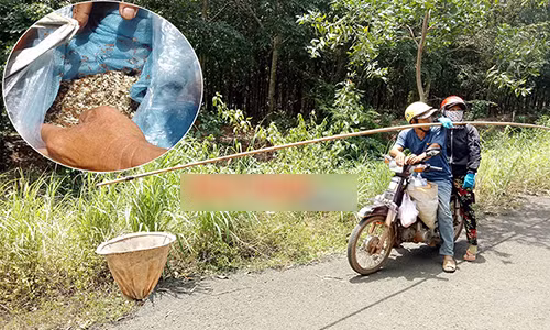 7 nam chong deo vo di san trung kien, kiem vai tram ngan/ngay