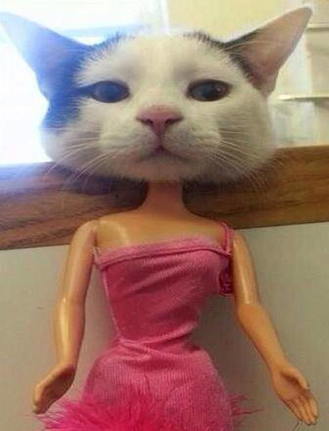 Có gì lạ mà người ta nhìn mình cười vậy?