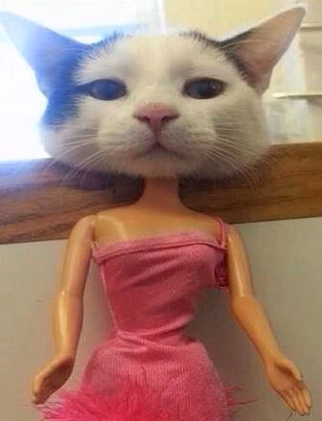 Có gì lạ mà người ta nhìn mình cười vậy?