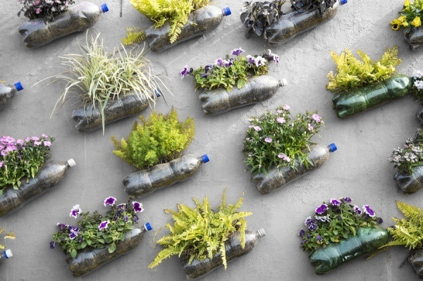 Có thể gắn cố định những chai nhựa lên tường, bạn hoàn toàn có thể biến bức tường tối tăm, tẻ nhạt thành vườn hoa đa dạng sắc màu và hương thơm.