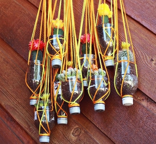 Các loại cây mọng nước, cây không cần nhiều đất trồng như xương rồng, sen đá... cũng có thể được trồng trong chai nhựa. Hãy tạo giá đỡ cho chai, cắt chai làm đôi, giữ lại phần nửa có nắp để tiện lợi hơn cho việc thay đất và thoát nước cho cây.