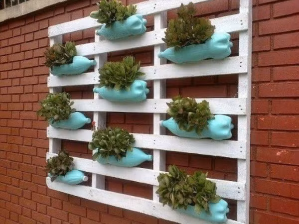 Những chai nhựa được tráng một lớp sơn bên trong và gắn vào pallet theo cách mà bạn muốn, đây cũng là nơi lý tưởng để bạn có thể trồng các loại rau, loại hoa yêu thích làm đẹp cho không gian sống của mình.