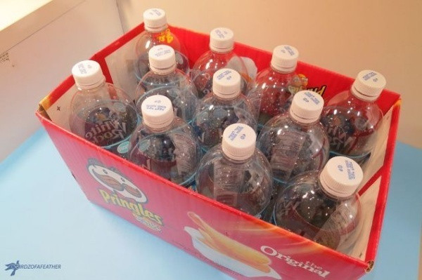 Những chai nhựa có thể biến thành nhà kính mini để ươm mầm cây xanh, hoa lá.