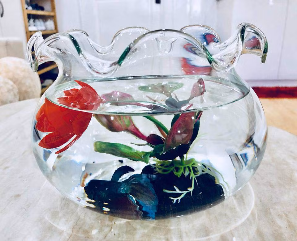 Được biết, một số không gian trong nhà đều do Á hậu 3 của Miss Eco International 2017 tự lên ý tưởng thiết kế, bài trí, trong đó có phòng khách. Nguyễn Thị Thành rất tự hào và thích thú với không gian này và còn hài hước muốn "nhận thiết kế nội thất".