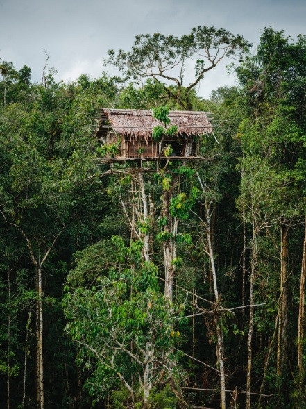 Bo lac tung an thit nguoi, song hoang da va nguyen thuy nhat the gioi-Hinh-2