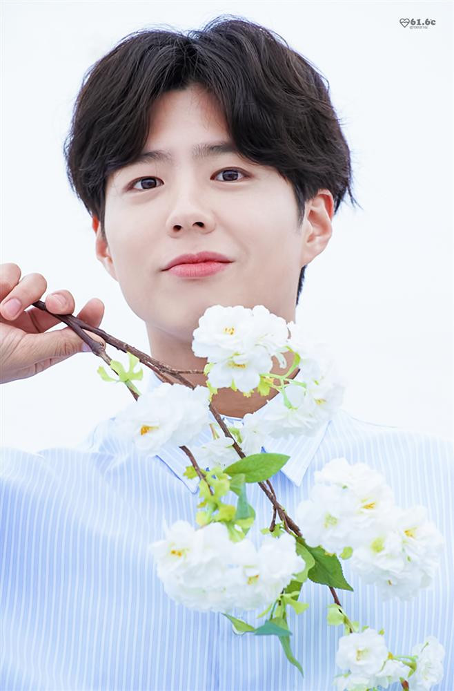 Ngay khi bộ phim đóng máy, Park Bo Gum liên tiếp nhận được hơn 100 lời đề nghị phỏng vấn và chụp ảnh cho báo, tạp chí và rất nhiều hợp đồng quảng cáo mới.