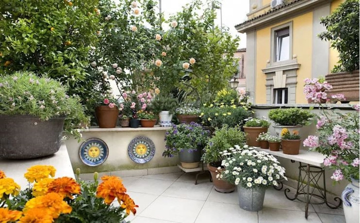 Khu vườn trên sân thượng ngập tràn màu sắc cho những cô nàng yêu hoa. Ảnh: Homify.