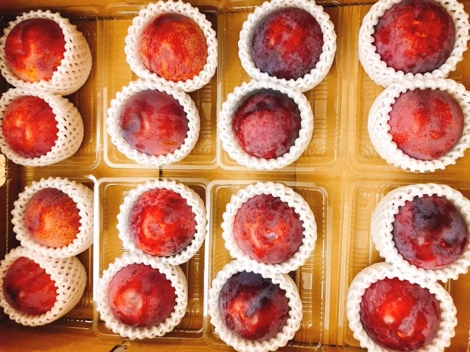 Ca hiem trong sach Do xuat hien tren song Viet Nam gay xon xao-Hinh-3