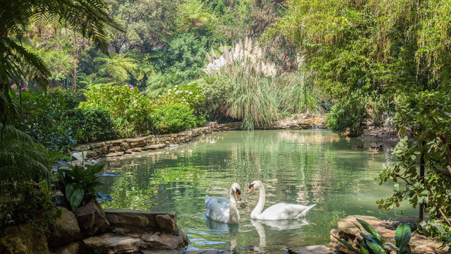 Trong khuôn viên của khách sạn còn có một hồ riêng có tên Swan Lake (Hồ Thiên Nga).