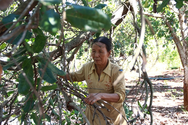 Chuyen o “Doc khong chong” tren doi C5-Hinh-2