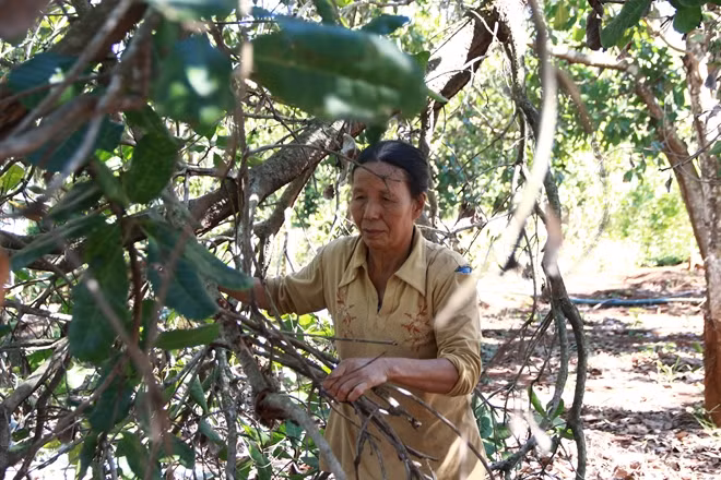 Chuyen o “Doc khong chong” tren doi C5-Hinh-2