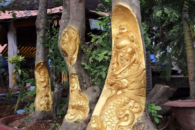 Doc dao nhung buc tuong vang 