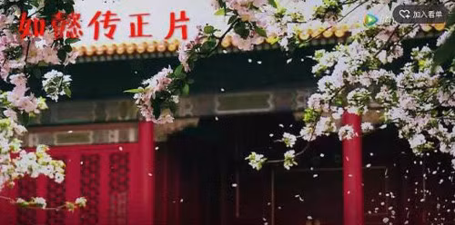 Một cảnh phim được phát hiện giống với hình ảnh tư liệu của đài CCTV. Dù đoàn phim đã trả lời có thỏa thuận sử dụng bản quyền của CCTV nhưng nhiều khán giả vẫn chỉ trích. Trên mạng xã hội Weibo, nhiều người đặt ra câu hỏi phim được đầu tư 43,3 triệu USD chẳng lẽ không đủ kinh phí để quay những cảnh này.