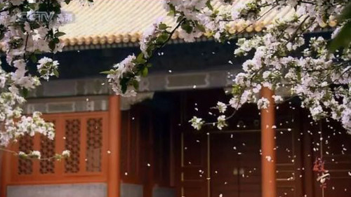 Cảnh tư liệu của đài CCTV về Tử Cấm Thành.