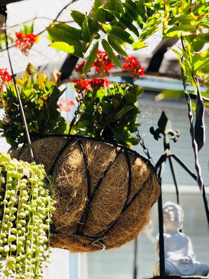 Rất nhiều người khen ngợi tình yêu thiên nhiên cũng như sự khéo léo của Thúy Nga trong công việc làm vườn.