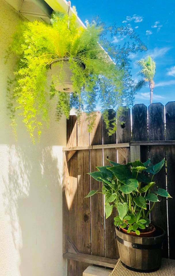 Thúy Nga thường dành thời gian rảnh để chăm sóc cho khu vườn của mình.