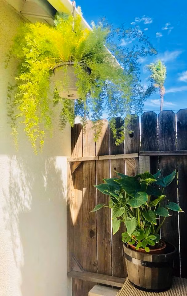 Thúy Nga thường dành thời gian rảnh để chăm sóc cho khu vườn của mình.