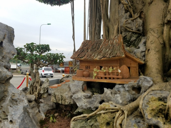 Trong khuôn khổ Triển lãm Sinh vật cảnh 2018, nhiều đại gia, chuyên gia cây cảnh cũng đã tìm về tận nơi để được nhìn thấy và không ngại bày tỏ sẵn sàng bỏ triệu đô để được sở hữu cây sanh này. Được biết, tại một triển lãm sinh vật cảnh khác tổ chức hồi tháng 8/2018 tại Nam Định, cũng đã có một đại gia trả giá “Đại thế vân tùng” lên đến 15 tỷ nhưng anh Phú từ chối không bán.