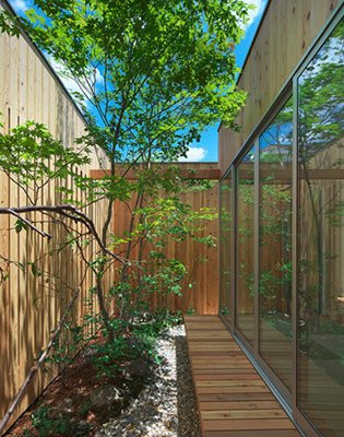 Cửa sổ bằng kính trong suốt nối thẳng từ trần nhà xuống sàn đem lại cảm giác “mở”, kết nối không gian trong nhà với bên ngoài.