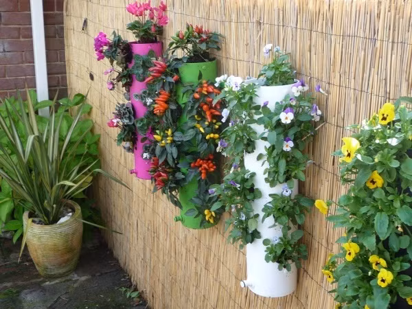 Những tấm gỗ được tạo khung gắn lên tường. Tận dụng sơn thừa để tạo vẻ đẹp nổi bật cho từng khuôn gỗ. Trồng các loại cây cảnh, rau sạch, cây làm sạch không khí cho khoảng tường rực rỡ sức sống.