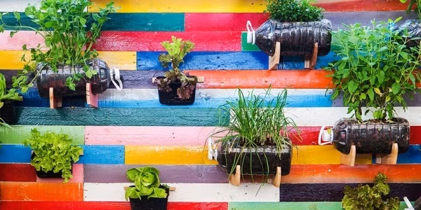 Tận dụng những ống nhựa, đục lỗ xung quanh để tạo nên góc nhỏ trồng rau và hoa đẹp mắt. Tăng thêm vẻ đẹp cuốn hút cho khoảng sân vườn mini bằng cách sơn những gam màu nổi bật.